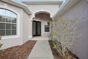 22707 EAGLES WATCH DRIVE, LAND O LAKES, FL 34639 Sold 02/07/25