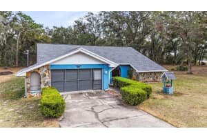 5250 Little Green Ln, DADE CITY