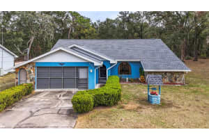 5250 LITTLE GREEN LANE, DADE CITY, FL 33523 - MLS#MFRTB8331635