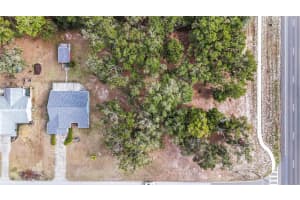 5250 LITTLE GREEN LANE, DADE CITY, FL 33523 - MLS#MFRTB8331635
