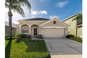 11407 VILLAGE BROOK DRIVE, RIVERVIEW, FL 33579 Sold 02/17/25