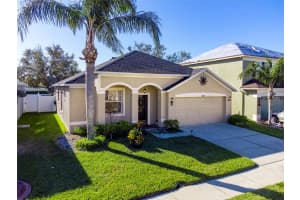 11407 VILLAGE BROOK DRIVE, RIVERVIEW, FL 33579 Sold 02/17/25