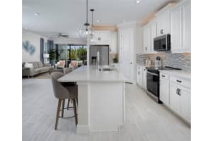 866 RUDY QUAIL PLACE, SUN CITY CENTER, FL 33573 Sold 04/17/25