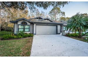 873 LUCAS LANE, OLDSMAR, FL 34677 Sold 04/28/25