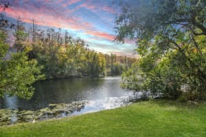 2878 POST ROCK DRIVE, TARPON SPRINGS, FL 34688 Sold 03/19/25