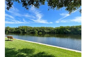 678 MOUNT MADISON AVENUE, ST PETERSBURG, FL 33702 - MLS#MFRTB8331775