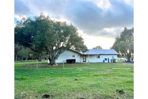 4915 MOUNT PLEASANT ROAD, GROVELAND, FL 34736 - MLS#MFRTB8331889
