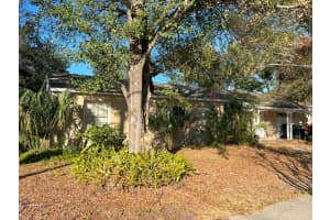 4017 PALMIRA AVENUE, TAMPA, FL 33629 Sold 02/24/25
