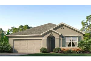 3047 LIVING CORAL STREET, WIMAUMA, FL 33598 Sold 03/31/25