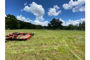 0 MANDRAKE ROAD, WESLEY CHAPEL, FL 33543 - MLS#MFRTB8332055