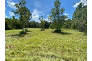0 MANDRAKE ROAD, WESLEY CHAPEL, FL 33543 - MLS#MFRTB8332055