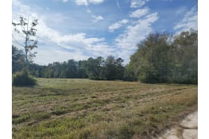 0 MANDRAKE ROAD, WESLEY CHAPEL, FL 33543 - MLS#MFRTB8332055
