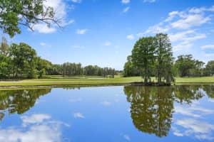 16920 VILLALAGOS DE AVILA, LUTZ, FL 33548 Sold 07/29/25