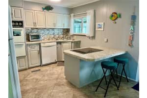 160 HICKORY GATE DRIVE, PALM HARBOR, FL 34684 - MLS#MFRTB8332130