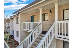 3714 GREENERY COURT, TAMPA, FL 33618 Sold 05/22/25
