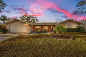 1136 BURKE AVENUE, DUNEDIN, FL 34698 Sold 04/03/25
