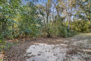 206 PINE STREET, HOMOSASSA, FL 34446 Sold 01/30/25