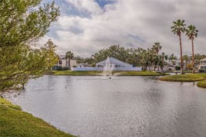 11680 SHIPWATCH DRIVE, LARGO, FL 33774 Sold 03/14/25