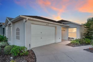 972 BUSTER PL, THE VILLAGES, FL 32162 Sold 03/31/25