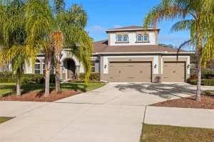 17921 BARN CLOSE DRIVE, LUTZ, FL 33559 Sold 03/03/25
