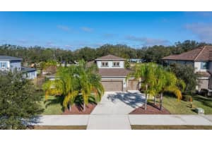 17921 BARN CLOSE DRIVE, LUTZ, FL 33559 Sold 03/03/25