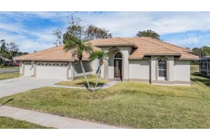 1306 FORESTEDGE BOULEVARD, OLDSMAR, FL 34677 Sold 02/21/25