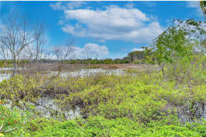22926 SONOMA LANE, LUTZ, FL 33549 Sold 02/07/25