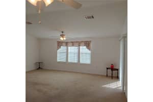 1760 DOROTHY BOULEVARD, LUTZ, FL 33558 - MLS#MFRTB8332520
