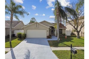 11222 MOONVALLEY WAY, TAMPA, FL 33635 Sold 02/14/25