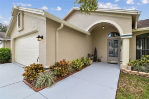 11222 MOONVALLEY WAY, TAMPA, FL 33635 Sold 02/14/25