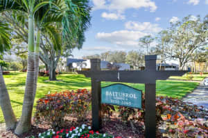 36750 US HIGHWAY 19 N #19203, PALM HARBOR, FL 34684 Sold 02/14/25