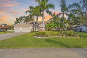 1061 WEATHERSFIELD DRIVE, DUNEDIN, FL 34698 Sold 02/14/25