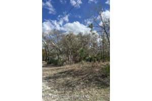10180 ZEBRAFINCH AVENUE, WEEKI WACHEE, FL 34614 - MLS#MFRTB8332758
