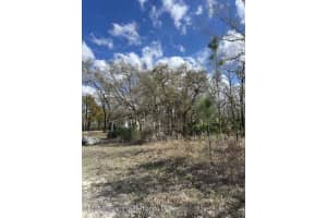 10180 ZEBRAFINCH AVENUE, WEEKI WACHEE, FL 34614 - MLS#MFRTB8332758