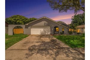 1009 Black Knight Dr, VALRICO
