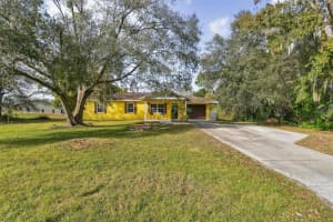 31713 HEDGEROW DRIVE, WESLEY CHAPEL, FL 33543 Sold 01/31/25