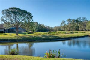 12818 ROYAL GEORGE AVENUE, ODESSA, FL 33556 Sold 05/30/25