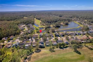 12818 ROYAL GEORGE AVENUE, ODESSA, FL 33556 Sold 05/30/25