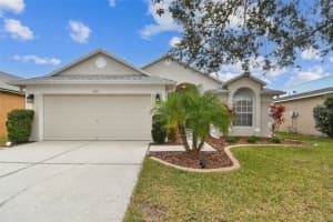 6410 CHAPEL PINES BOULEVARD, WESLEY CHAPEL, FL 33545 Sold 02/19/25