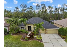 27121 BRUSH CREEK WAY, WESLEY CHAPEL, FL 33544 Sold 04/18/25