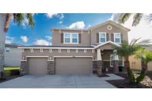 13449 CANOPY CREEK DRIVE, TAMPA, FL 33625 Sold 03/03/25