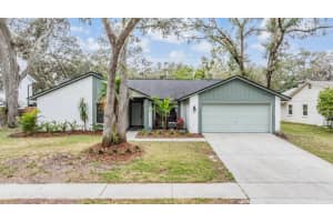 2804 ORMANDY COURT, TAMPA, FL 33618 Sold 01/31/25