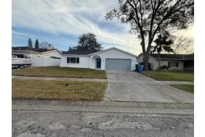 4828 CYPRESS TREE DRIVE, TAMPA, FL 33624 Sold 01/31/25