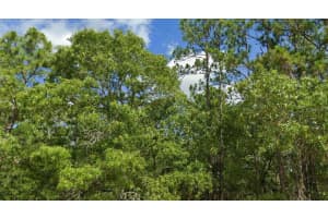 SW 50 AVENUE RD, OCALA, FL 34473 Sold 05/29/25