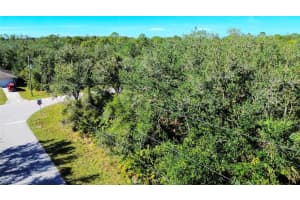 17074 ORIENT AVENUE, PORT CHARLOTTE, FL 33948 - MLS#MFRTB8333029