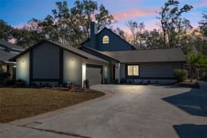 2730 LAKEVILLE DRIVE, TAMPA, FL 33618 Sold 04/29/25