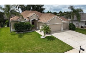 10452 GOOSEBERRY COURT, TRINITY, FL 34655 Sold 02/28/25