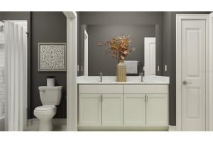 18389 SERENE LAKE LOOP, LUTZ, FL 33548 Sold 01/30/25