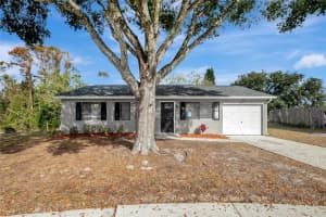 10337 WIDGEON WAY, NEW PORT RICHEY, FL 34654 Sold 02/05/25