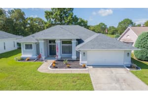 10328 HENDERSON STREET, SPRING HILL, FL 34608 - MLS#MFRTB8333186
